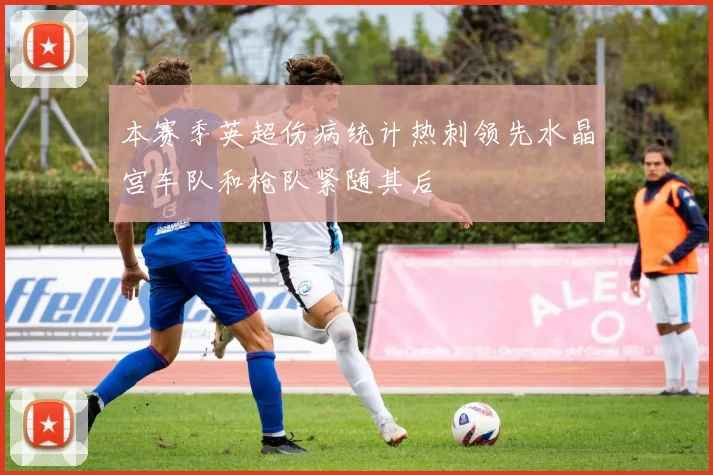 本赛季英超伤病统计热刺领先水晶宫车队和枪队紧随其后