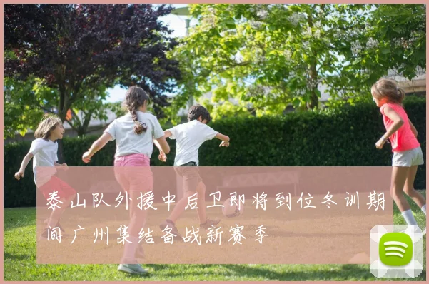 泰山队外援中后卫即将到位冬训期间广州集结备战新赛季